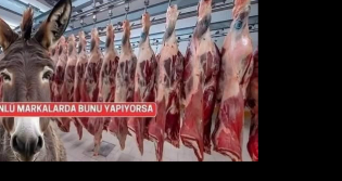Listedeki firma isimleri