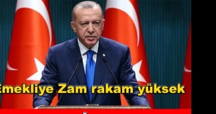Emekliye ifte Art