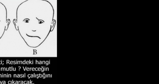 Setiiniz yz