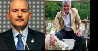 Sleyman Soylu Kuzeni