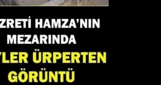 Hz Hamza