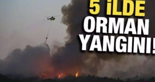 Biraz Evvel Yaanan Olay