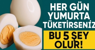 Her gn Yumurta Tketirseniz Ne Olur