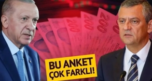 Yeni Anket