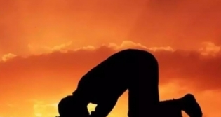 Doktor �m�r Bi�ti�i Gen�