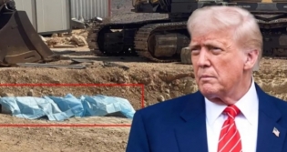 T�rkiye'ye D��en F�ze