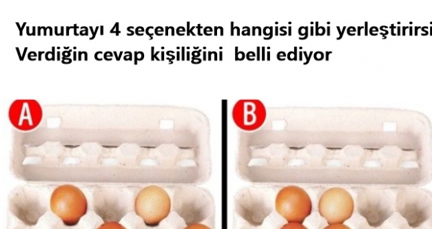 Yumurtalar� kutuya nas�l yerle�tirirsin