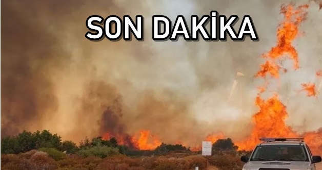eme'de 7 Gzalt