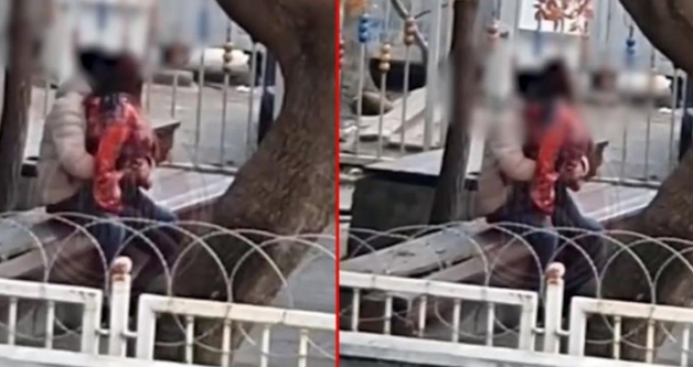 �stanbul Pendikte