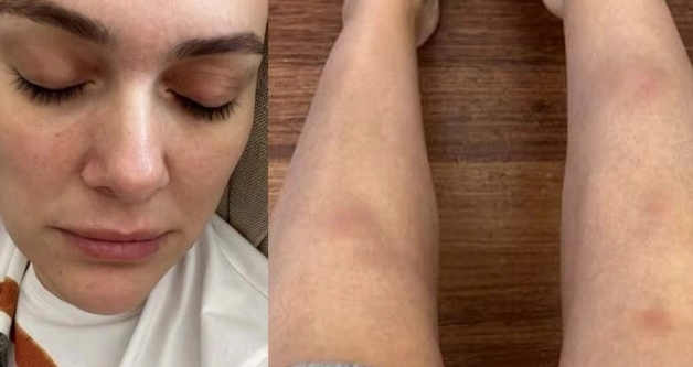 Sanat�� Berg�zar Korel Payla��m�