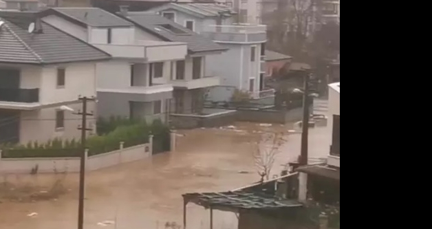 Yalova ve D�zce