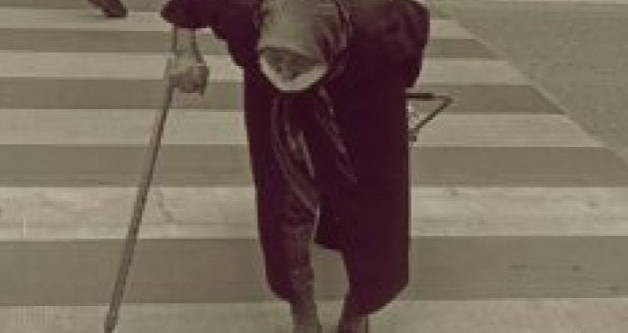 bursa organizeye yolum d��t�