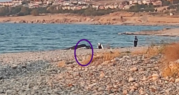 Rojin'in Otopsisi Raporunda Ne kt