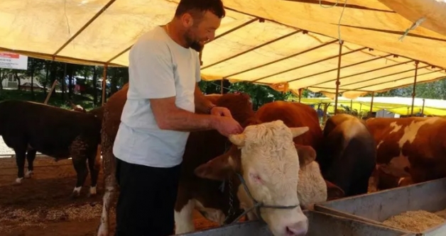 81 �lde Yasakland�