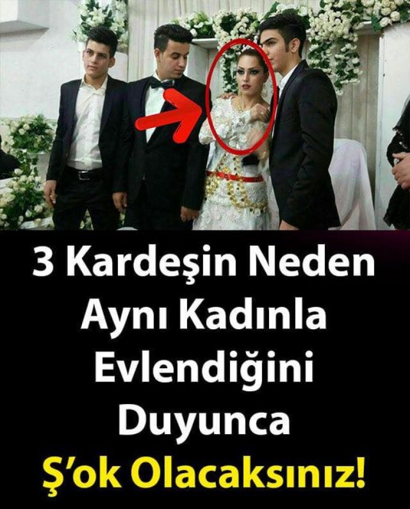 3 tane karde