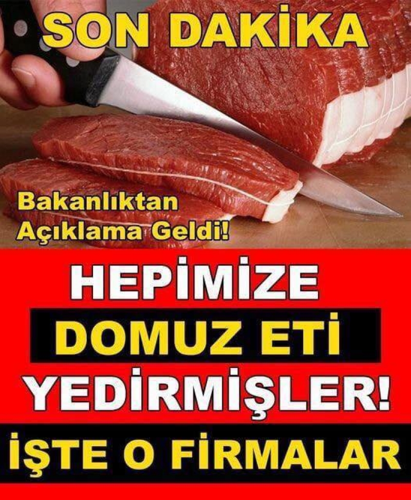 Bu Firmalar Vatandaa