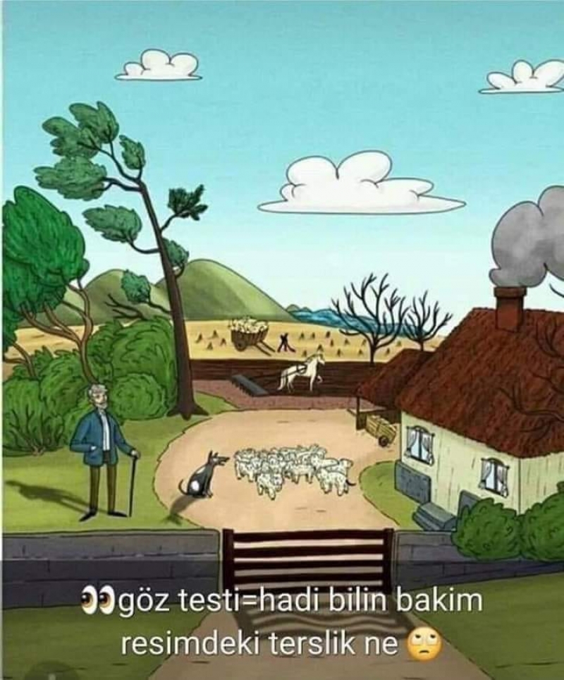 Resimdeki terslikleri kimler fark edebildi
