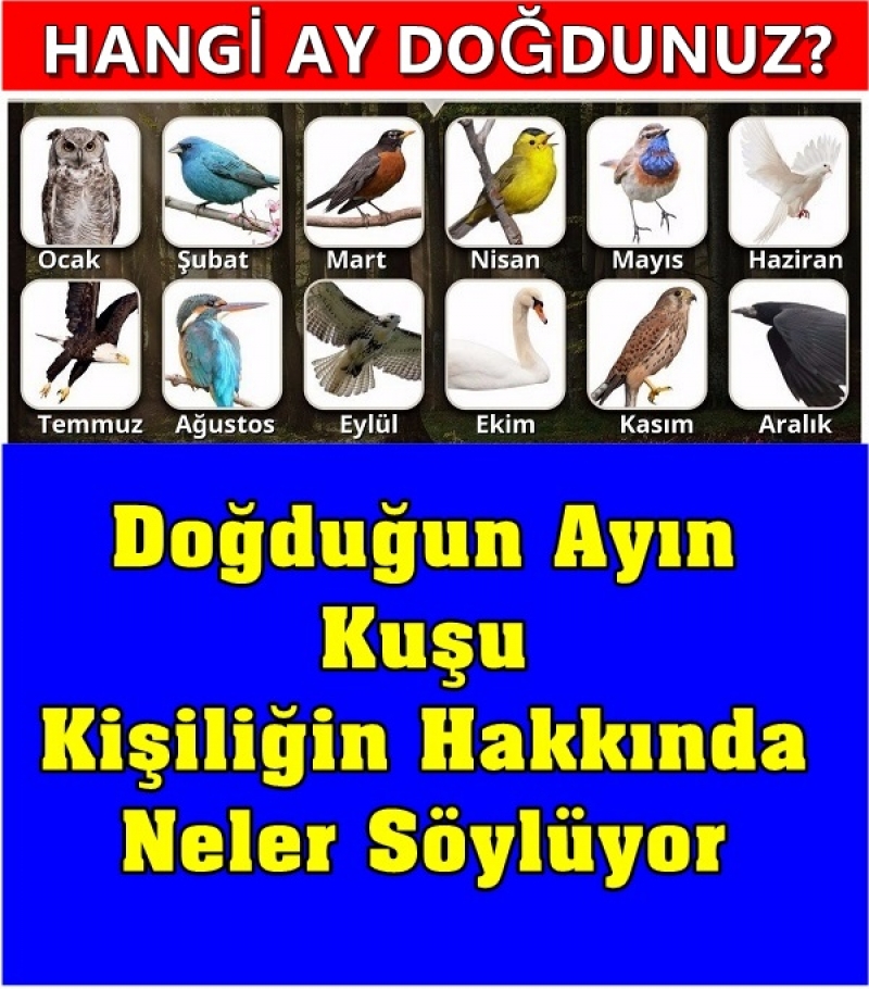 Doduunuz Ayn Kuu Ne Anlama Gelir