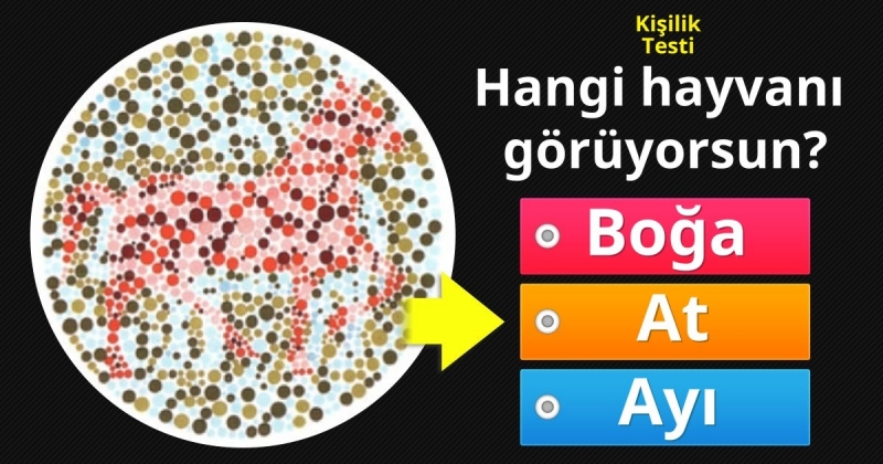 lk grdn nesne