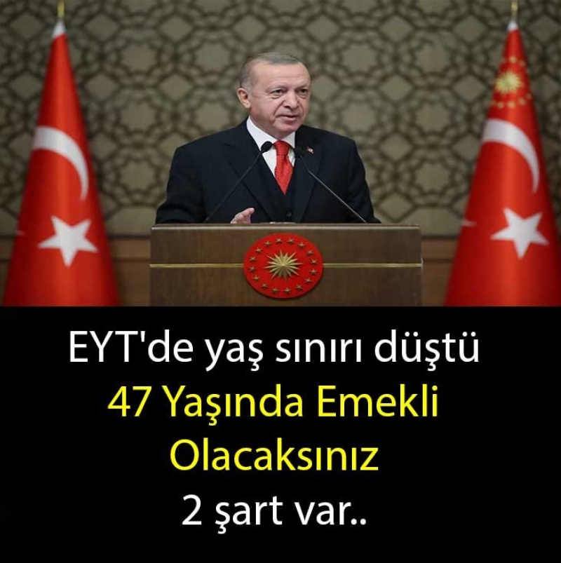 artlar saladnzda