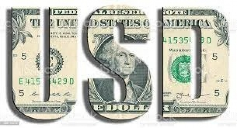 Dolar 6 TL