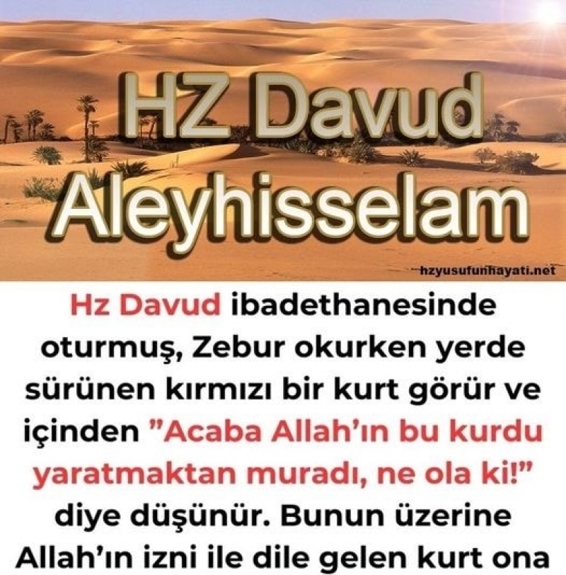Hz Davut 