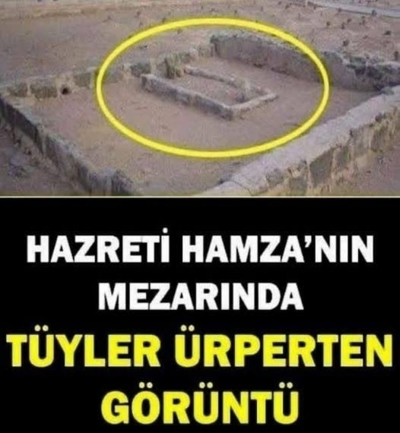 Hz Hamza
