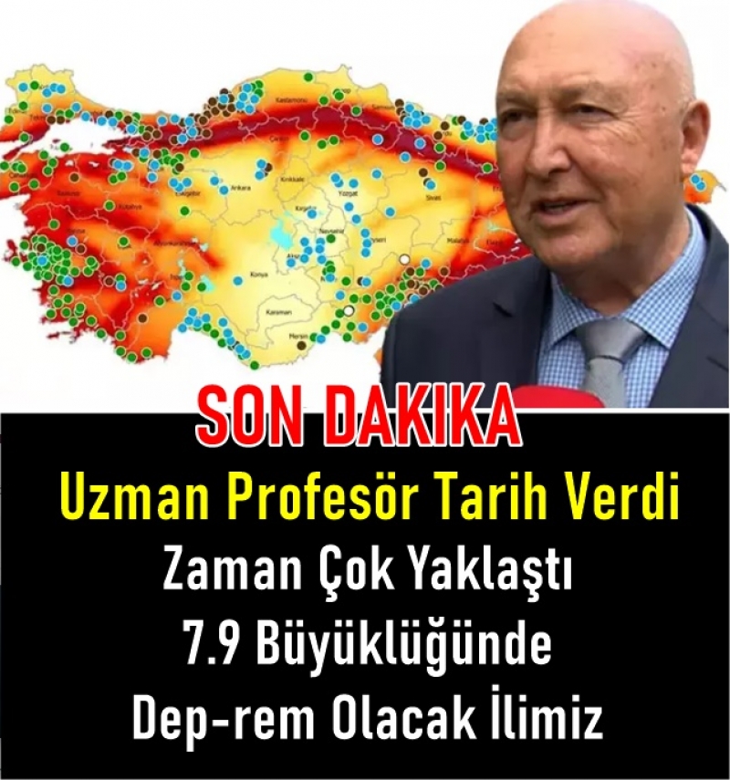 Uzman Profesr