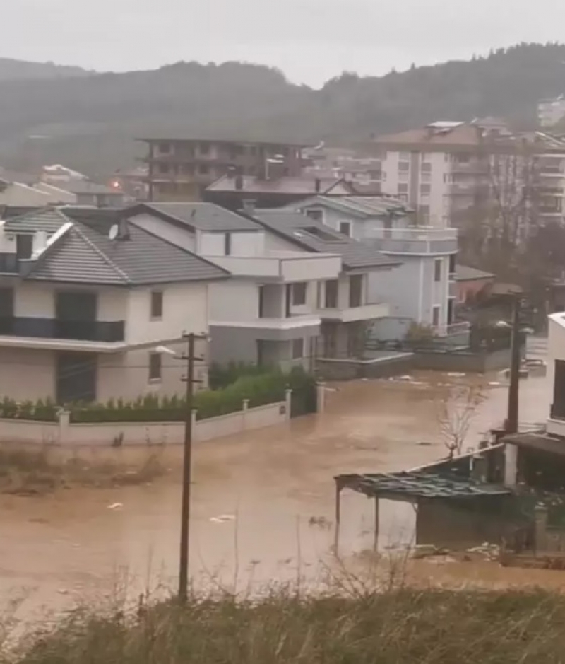 Yalova ve Dzce