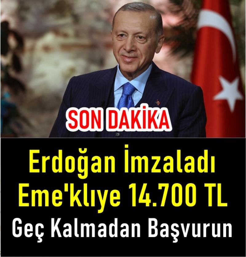 Erdoan mzalad