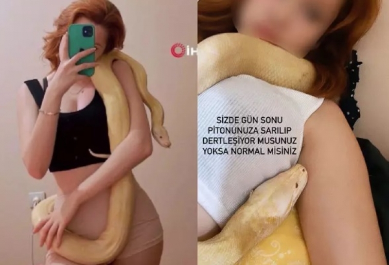 Piton ve Evdeki Hali