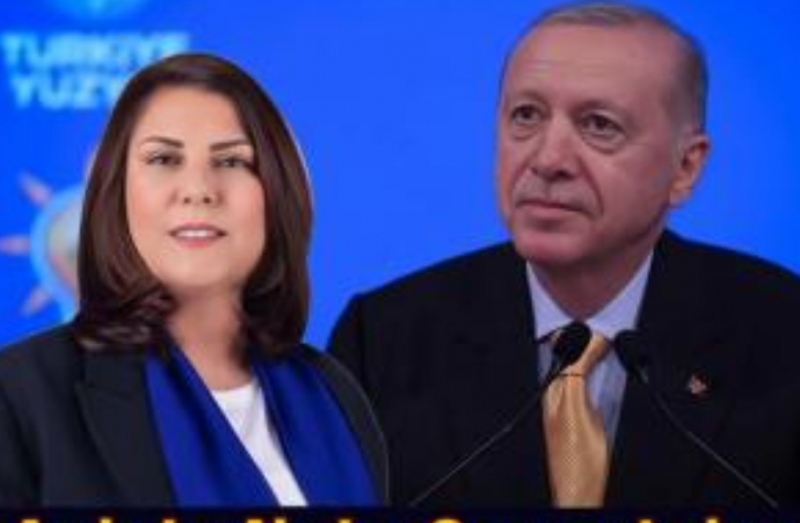 Yeni Anket Sonular