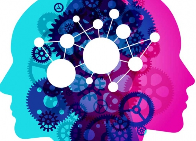 Nursel Ergin Hakknda