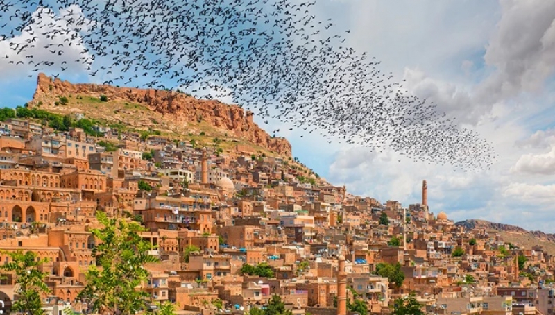 Mardin'de 3 kiilik aile